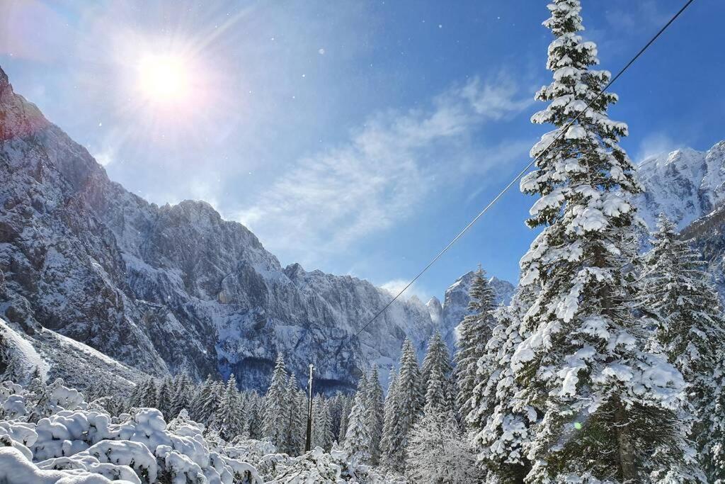 Apartma Kreda Mojstrana Luaran gambar